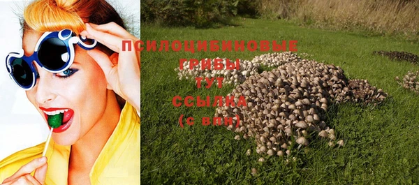 соль курить ск Богородицк