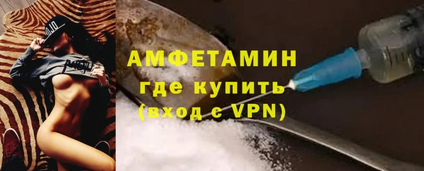 мдпв Богородск