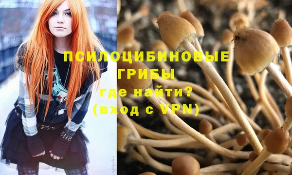 мяу мяу мука Богданович
