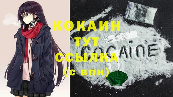 соль курить ск Богородицк