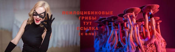 мяу мяу мука Богданович