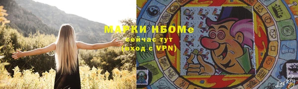 мдпв Богородск
