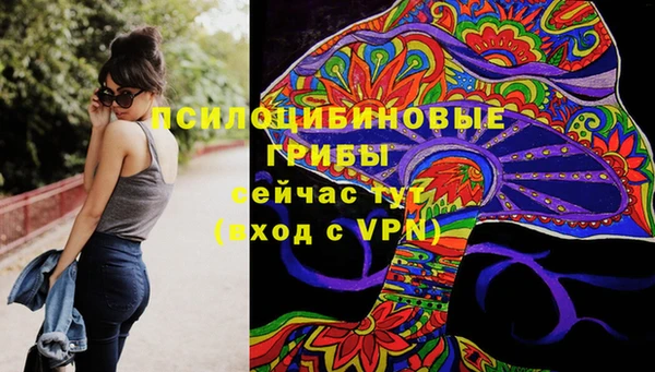 мяу мяу мука Богданович
