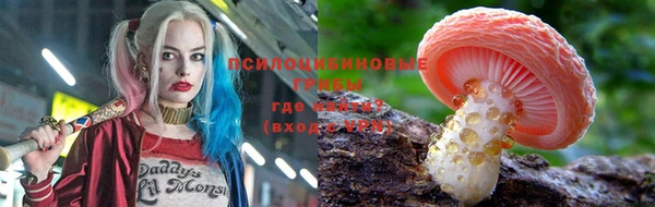 соль курить ск Богородицк