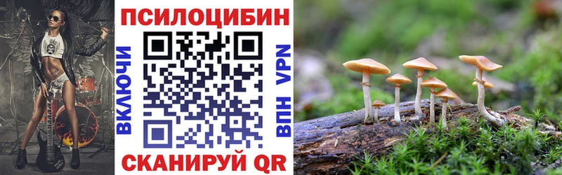 что такое наркотик  Дедовск  Галлюциногенные грибы прущие грибы 