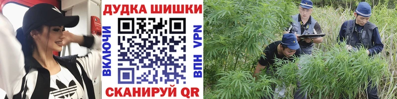 хочу наркоту  Дедовск  MEGA вход  Марихуана White Widow 